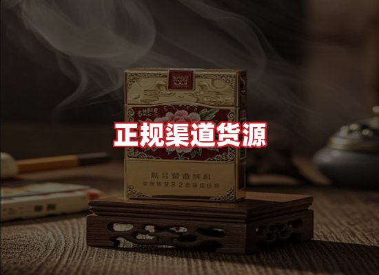 专业团队